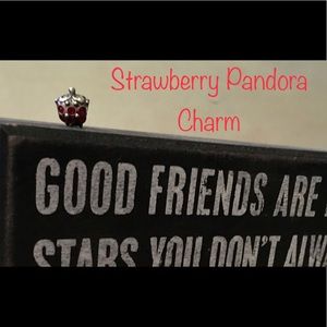 Strawberry Agave, Sterling Silver Pandora Charm!